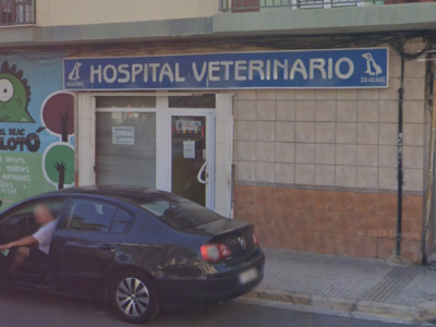 Hospital Veterinario Miguel Izquierdo (Sagunt/Sagunto)