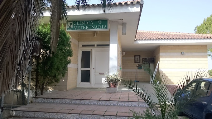 Clínica Veterinaria San Antoni (Sueca)