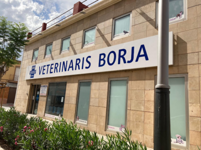 Veterinaris Centre Clínic - Borja (Torrent)