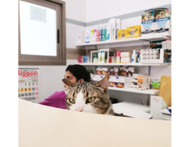 Centro Veterinario Guivet (Utiel)