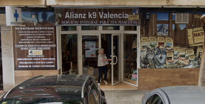 Alianz K9 Valencia (València)