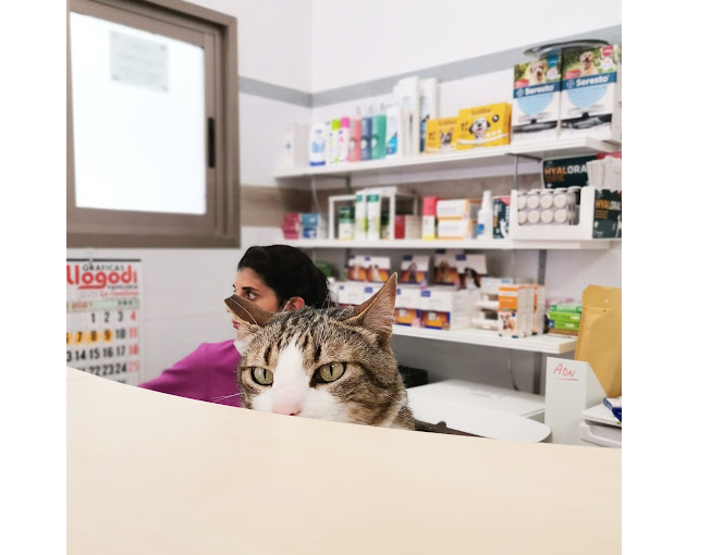 Centro Veterinario Guivet (Utiel)