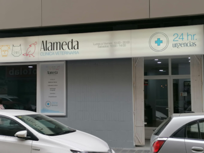 Clínica Veterinaria Alameda (València)