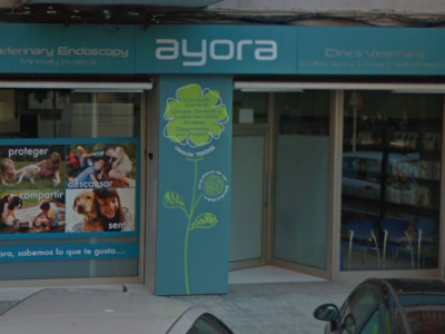 Clínica veterinaria Ayora (València)