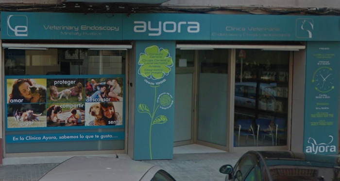 Clínica veterinaria Ayora (València)