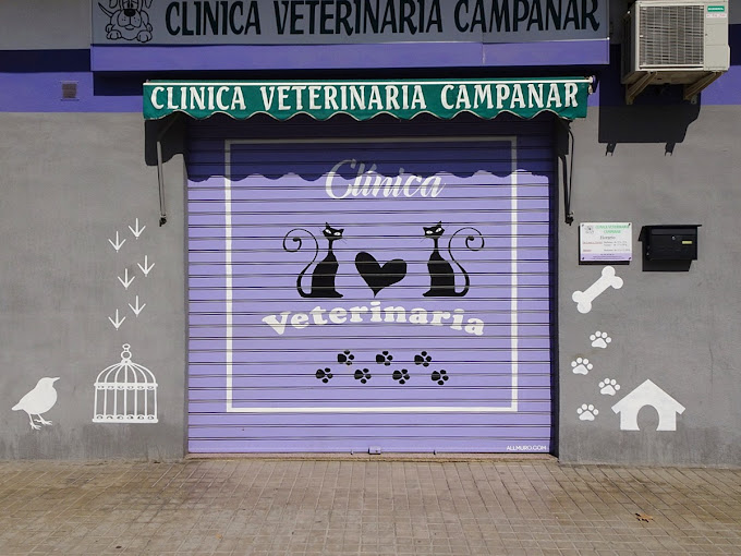 Clínica Veterinaria Campanar (València)