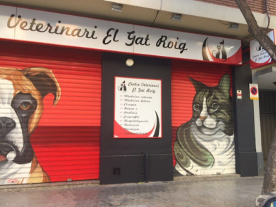 Centre Veterinari El Gat Roig (València)