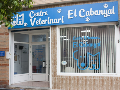 Centre Veterinari El Cabanyal (València)
