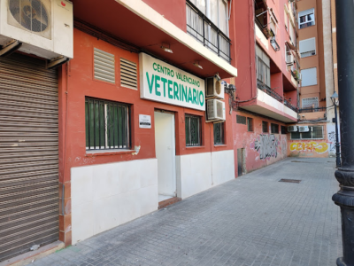 Centro Valenciano Veterinario (València)