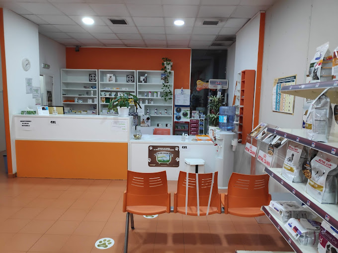 Centro Veterinario Animalia (València)