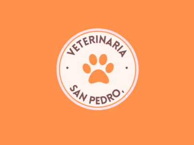 Centro Veterinario San Pedro (València)