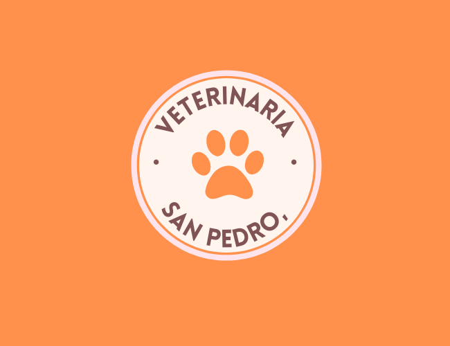 Centro Veterinario San Pedro (València)