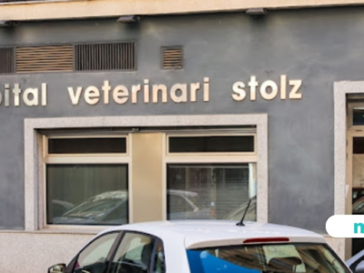 Centro Veterinario Stolz - Mivet (València)