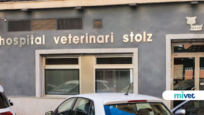 Centro Veterinario Stolz - Mivet (València)