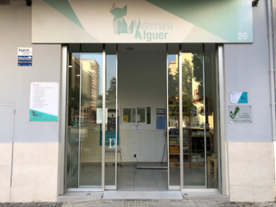 Clínica Veterinaria Alguer (València)