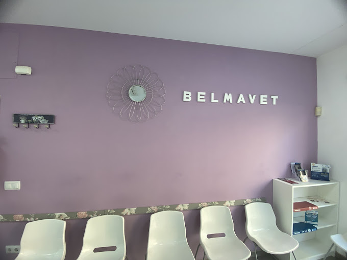 Clínica Veterinaria Belmavet (València)