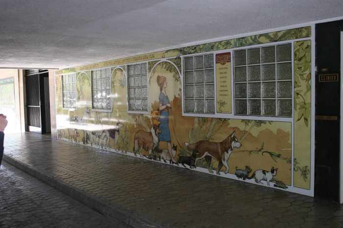 Clínica Veterinaria Blasco Ibáñez 119 (València)