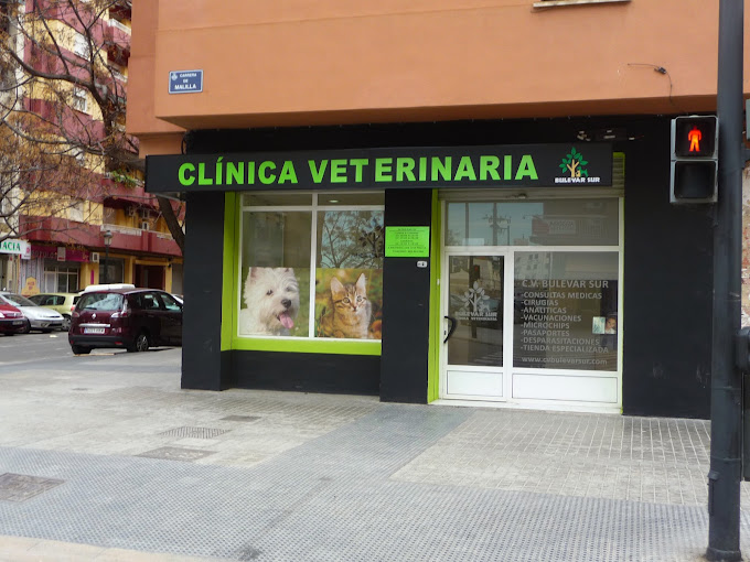 Clínica Veterinaria Bulevar Sur (València)