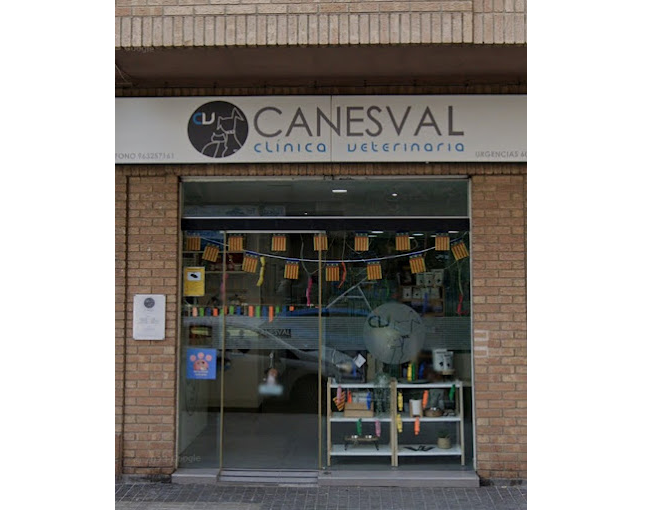 Clínica Veterinaria Canesval (València)