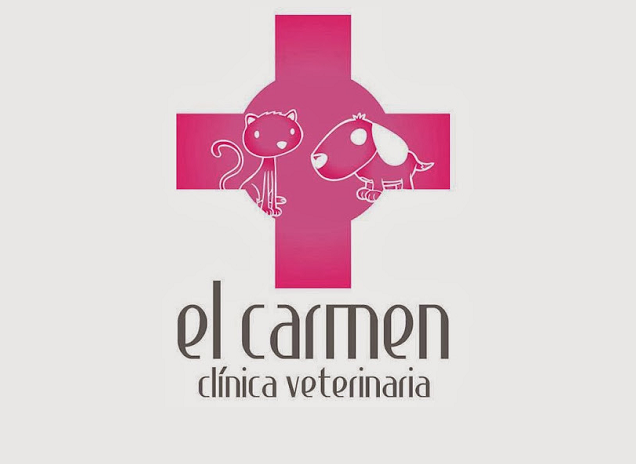 Clínica Veterinaria El Carmen (València)
