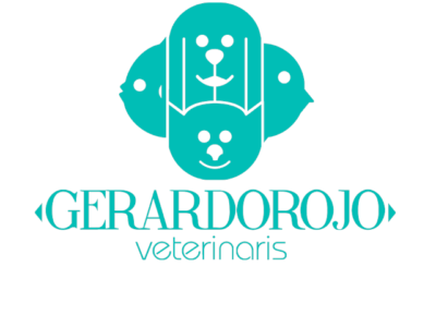 Clínica Veterinaria Gerardo Rojo (València)