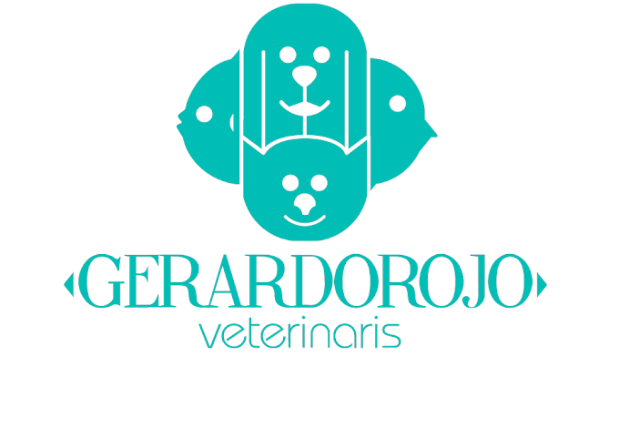 Clínica Veterinaria Gerardo Rojo (València)