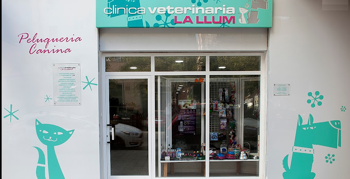 Clínica Veterinaria La Llum (València)