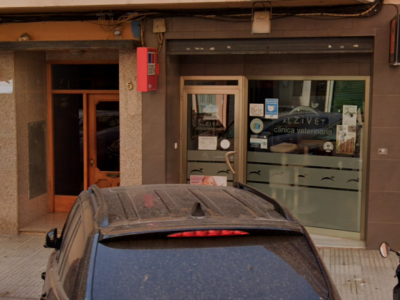 Alzivet Clínica Veterinaria (Alzira)