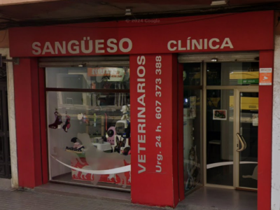 Clínica Veterinaria Sangüeso (València)