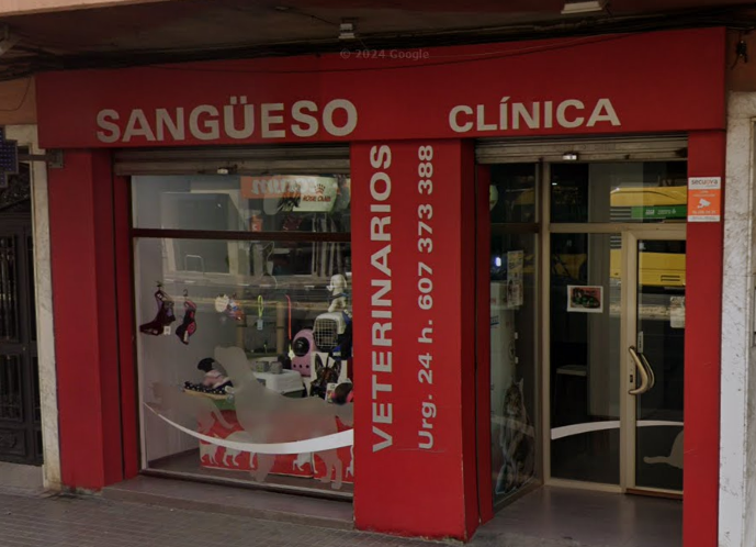 Clínica Veterinaria Sangüeso (València)