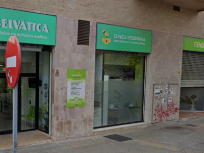 Selvätica - Clínica Veterinaria de animales exóticos (València)