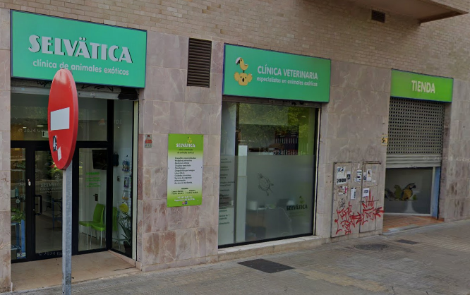 Selvätica - Clínica Veterinaria de animales exóticos (València)