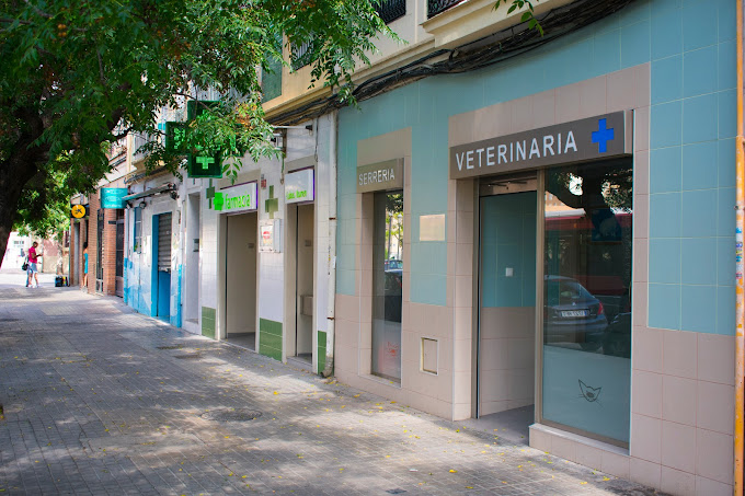 Clínica Veterinaria Serreria (València)