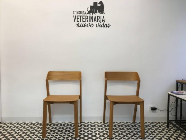 Consulta Veterinaria Nueve Vidas (València)