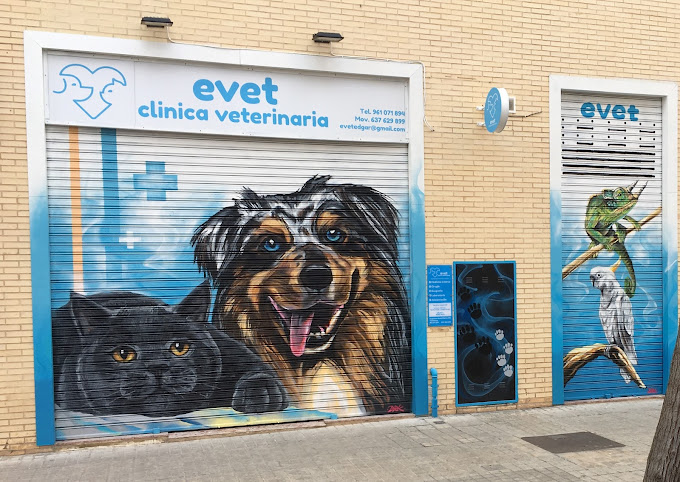 Evet Clínica Veterinaria (València)