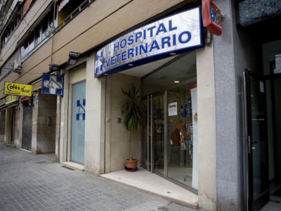 Hospital Veterinario Archiduque Carlos (València)