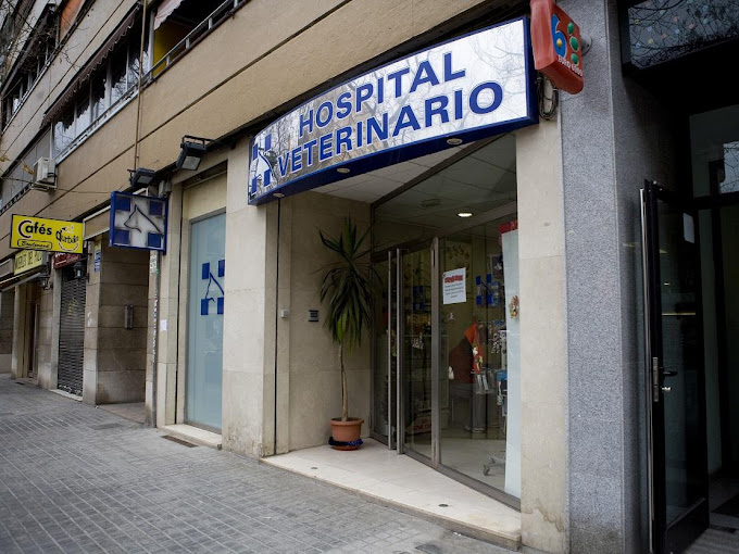 Hospital Veterinario Archiduque Carlos (València)