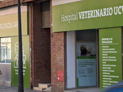 Hospital Veterinario de la Universidad Católica de Valencia - UCV (València)
