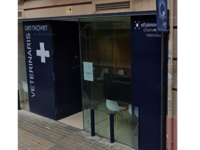 Oftalmovet oftalmología veterinaria (València)