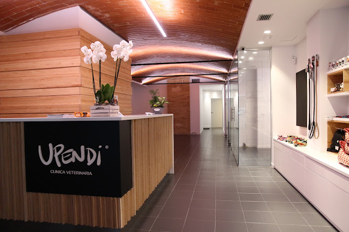Upendi Clínica Veterinaria Valencia (València)