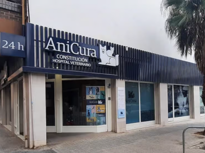 AniCura Constitución Hospital Veterinario (València)