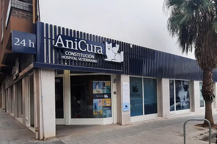 AniCura Constitución Hospital Veterinario (València)