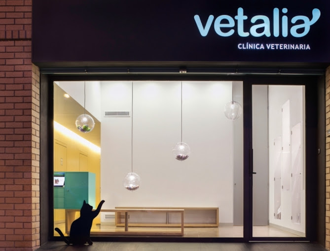 Vetalia Clínica Veterinaria (València)