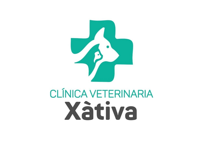 Clínica Veterinaria Xàtiva (Xàtiva)