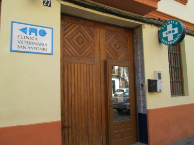 Clínica Veterinaria San Antonio (Xirivella)