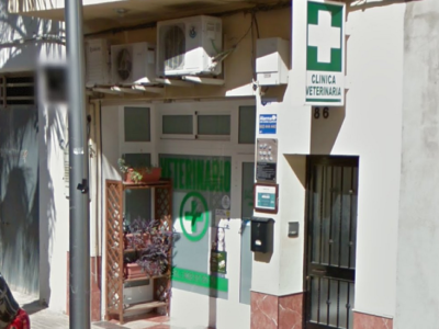 Clínica Veterinaria Animal Fun (Cheste)