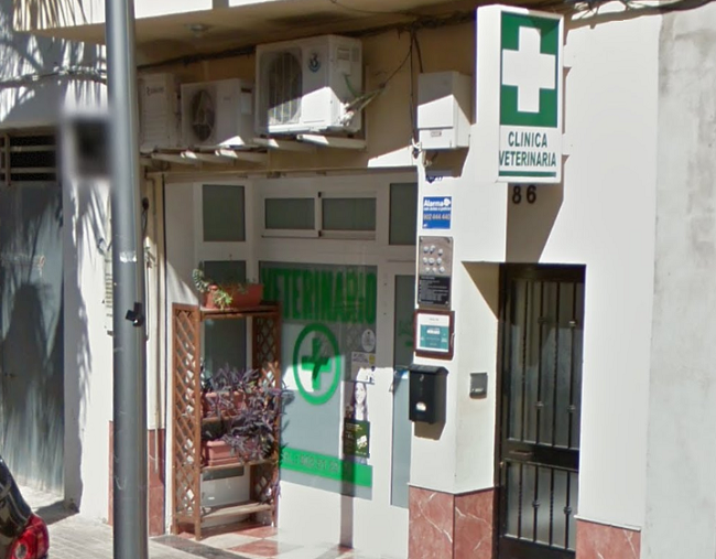 Clínica Veterinaria Animal Fun (Cheste)