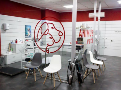 Animus Veterinaria (Daimús)