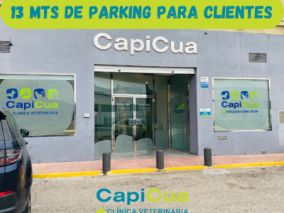 Clínica Veterinaria Cap i Cua (L'Alqueria de la Comtessa)