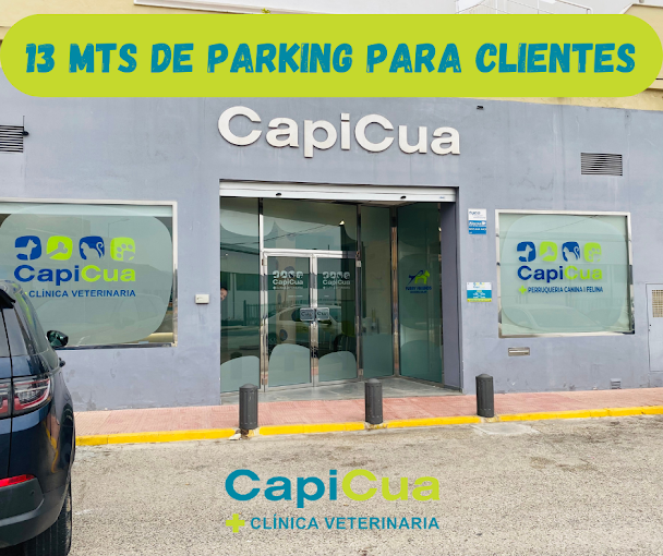 Clínica Veterinaria Cap i Cua (L'Alqueria de la Comtessa)